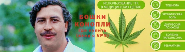 метадон Вяземский